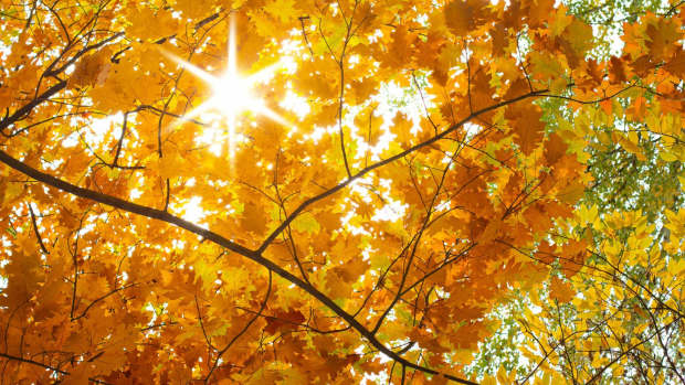 a-day-of-sunshine
