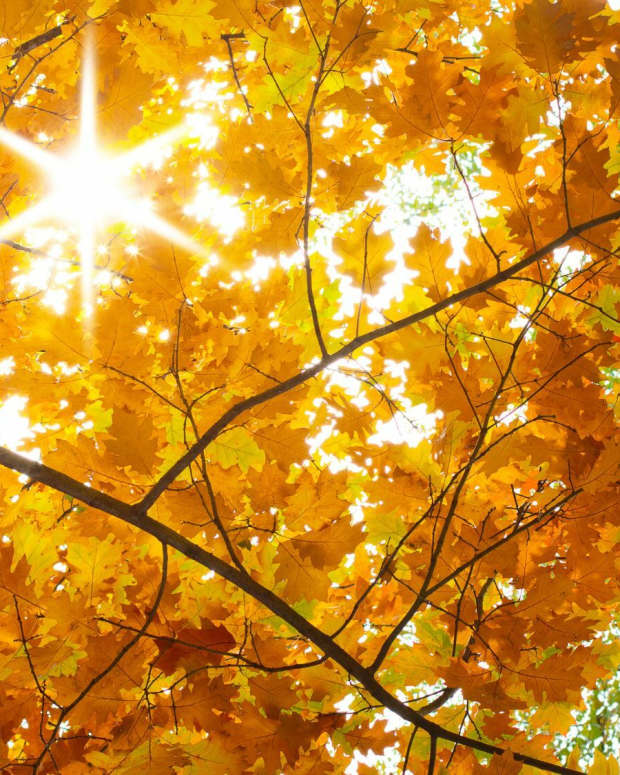 a-day-of-sunshine