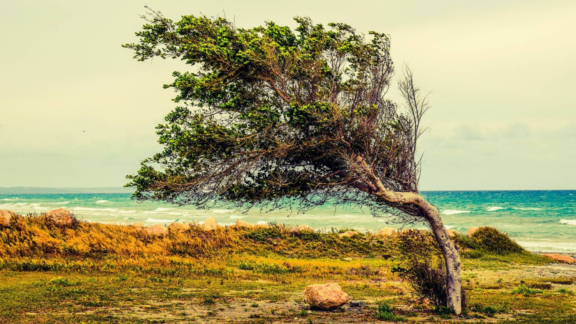 Another Step Forward - LetterPile