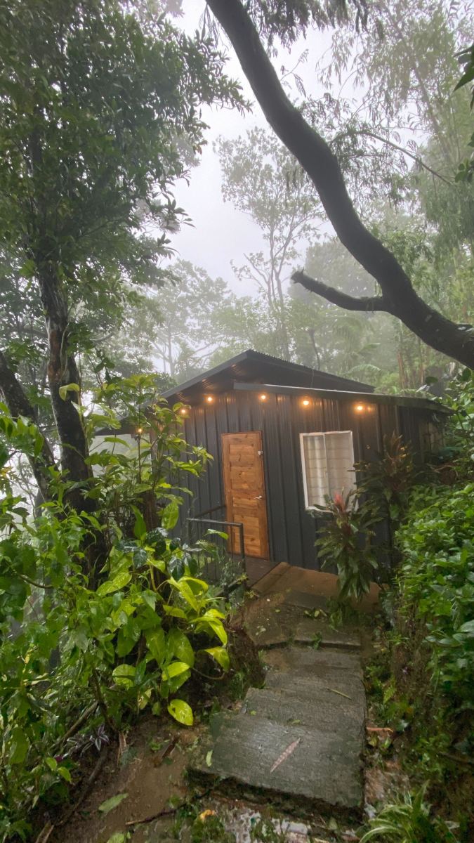 Flightless Bird LetterPile