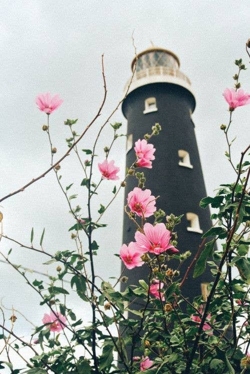 One Last Time - LetterPile