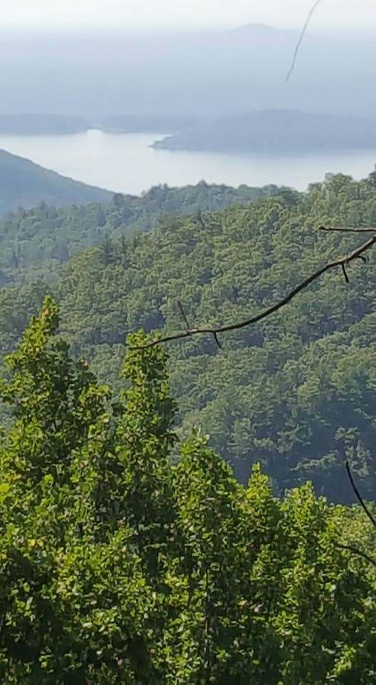 Thankful For Mentors Letterpile